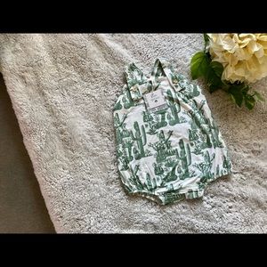 Kate Quinn Green Cactus Country Bubble